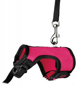 The Perfect Leash for Small Pets