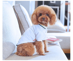 Teddy Pet Summer T-Shirt - Perfect for Your Furry Friend