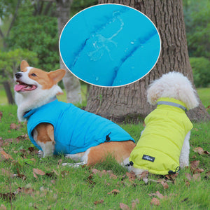 Why Your Pet Deserves the Thickened Waterproof Outdoor Pet Jacket