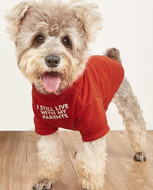 Round Neck Pet T-Shirt Casual Everyday Apparel