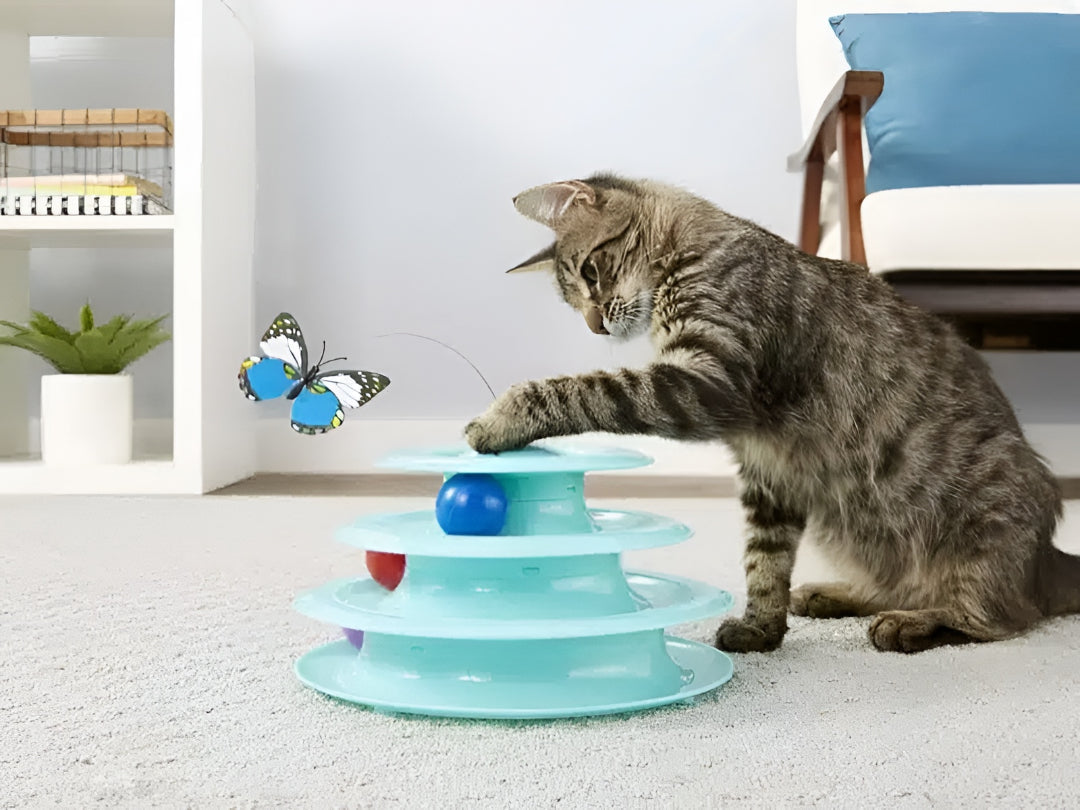 Fun Pet Toys Keep Pets Active Daily
