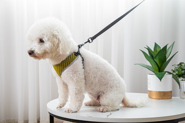 Enhance Your Pet's Walking Experience with Our Adjustable Harness