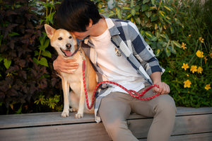 Choosing The Perfect Pet Leash For Daily Walks